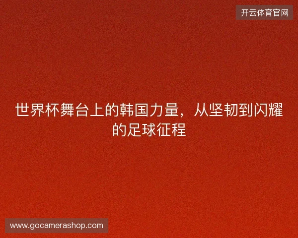 世界杯舞台上的韩国力量，从坚韧到闪耀的足球征程